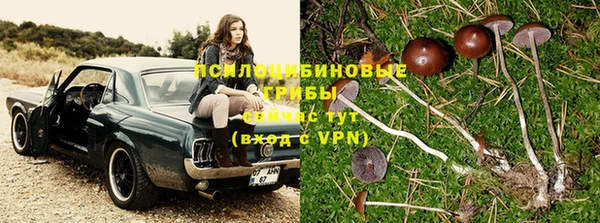 кокс Заводоуковск