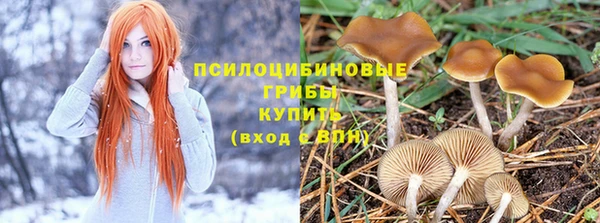 кокс Заводоуковск
