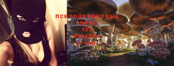 2c-b Заволжье