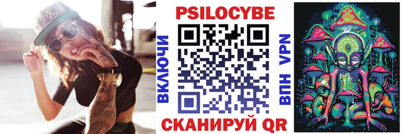 Купить где  Городец  Псилоцибиновые грибы мицелий 